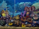 Imagen principal de Living Marine Aquarium ScreenSaver