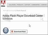 Imagen principal de Adobe Flash Player (Internet Explorer)