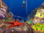 3D Ocean Fish