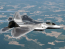 Camo F-22