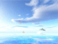Clouds over the Ocean