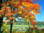 Colors of Autumn Screensaver