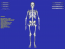 Esqueleto 3D