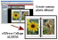 eXPress Collage Album