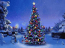 Free My 3D Christmas Tree ScreenSaver