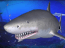Free Living 3D Sharks ScreenSaver