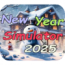 New Year Simulator 2025