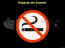 No Smoking ScreenSaver