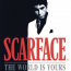 Scarface: the World is Yours