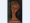 Descargar Amedeo Modigliani Painting 