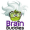 Descargar Brain Buddies 