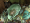 Descargar Escapada de Ravenhearst 