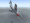 Descargar Fighter Ace 4.5