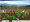 Descargar Flower Thinger 1.1