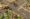 Descargar Jagged Alliance - Back in Action 