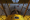 Descargar Wings: Remastered Edition 