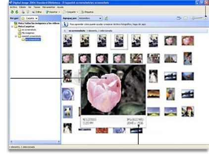 Pantallazo Microsoft Digital Image