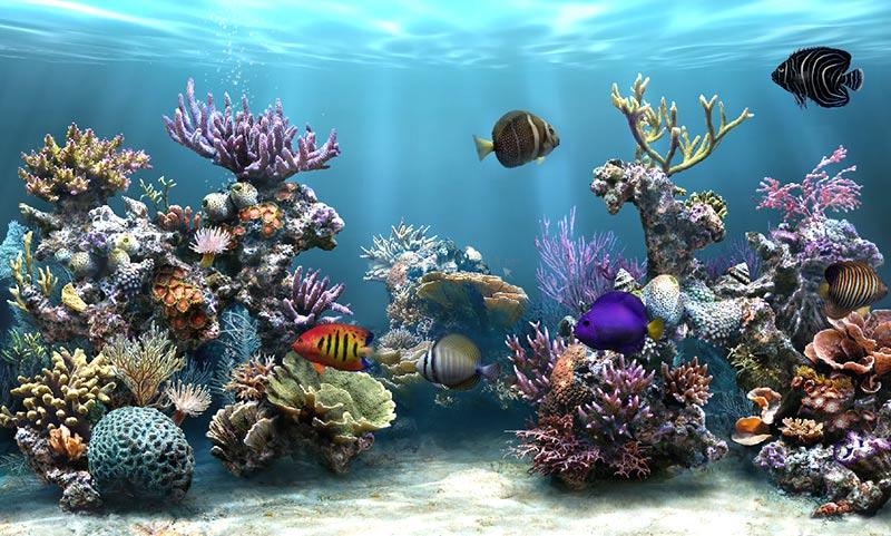Pantallazo Sim Aquarium Free Tank