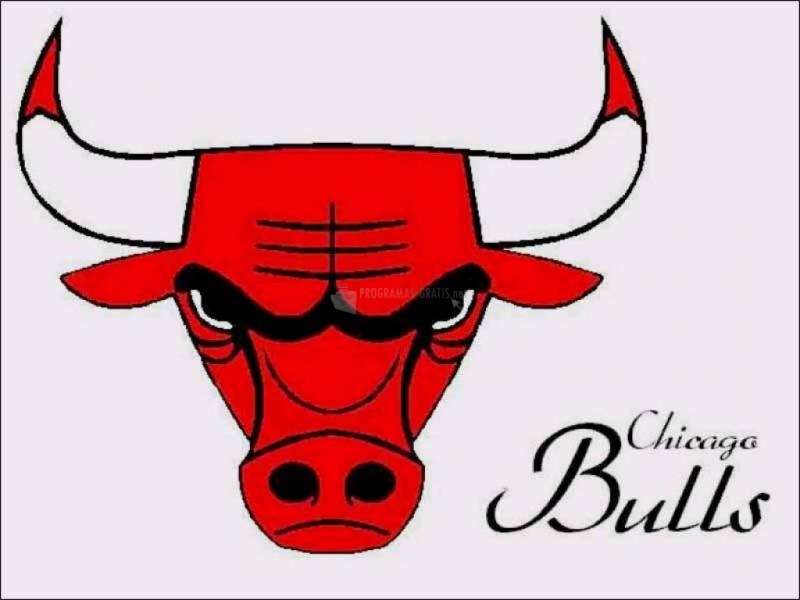 Pantallazo Logotipo Chicago Bulls