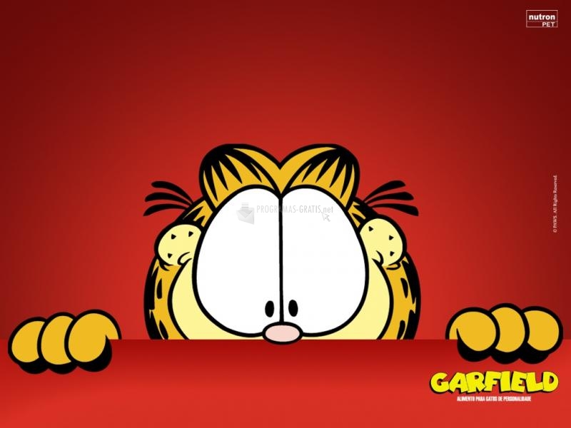 Pantallazo Garfield asomándose