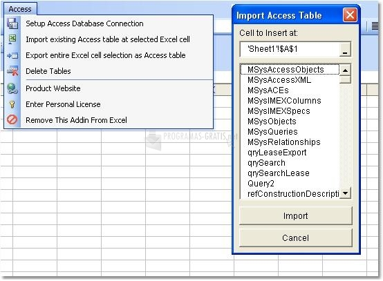 Pantallazo Excel MS Access Import