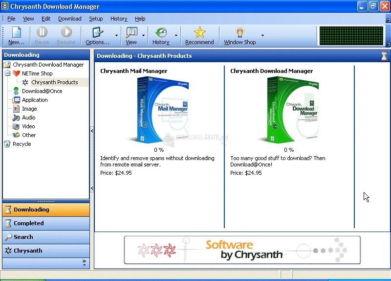Pantallazo Chrysanth Download Manager