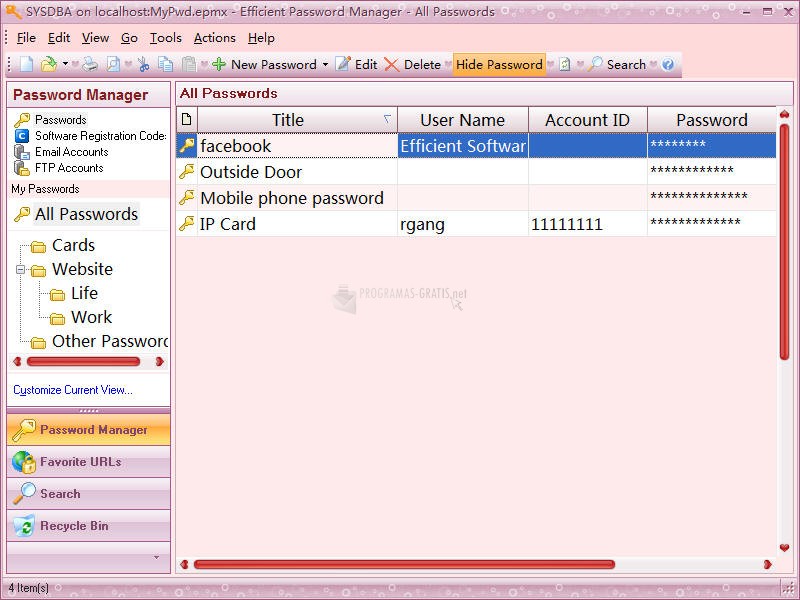 Pantallazo Efficient Password Manager Network