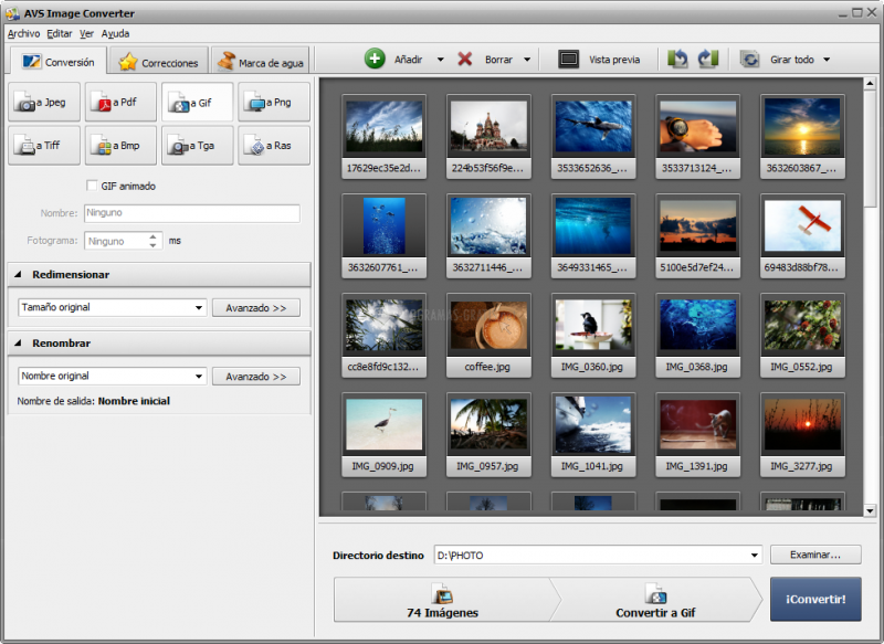 for windows download AVS Video Converter 12.6.2.701