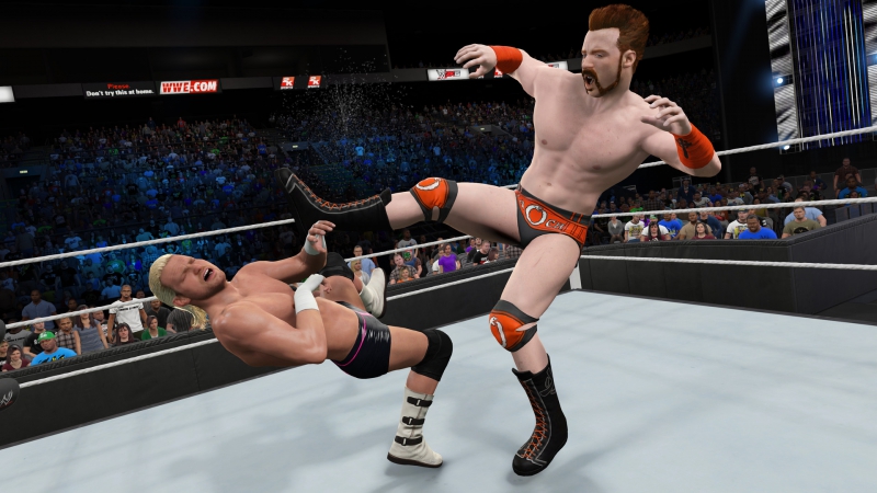 wwe 2k for pc