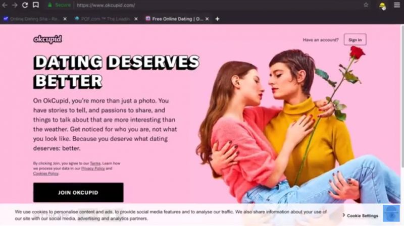 Pantallazo Kingpin Privacy Browser