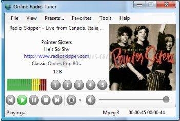 Captura de pantalla Online Radio Tuner