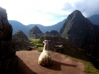 Foto Machu Picchu