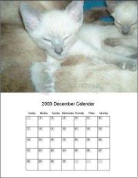 Foto Easy Calendar Maker