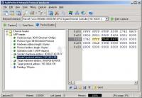 Screenshot Network Protocol Analyzer