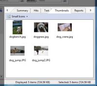 Screenshot File Locator Pro