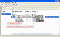 Screenshot Remote Queue Manager Pro
