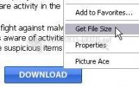 Pantallazo Get File Size