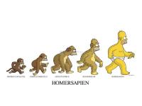 Pantallazo Homer Sapiens