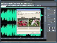 Captura de pantalla Dexster Audio Editor