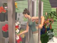Imagen Los Sims 2: Abren Negocios Patch