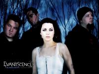 Pantallazo Evanescence