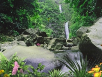 Foto Jungle Waterfall
