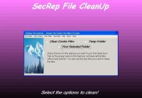 Pantallazo SecRep File CleanUp