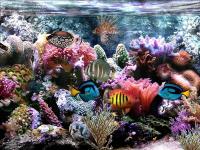 Screenshot Sim Aquarium Free Tank