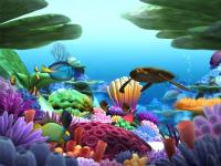 Pantallazo Marine Life 3D Screensaver