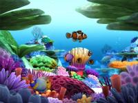 Foto Marine Life 3D Screensaver