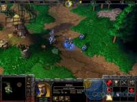 Captura Warcraft 3: Reign of Chaos