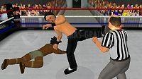 Captura de pantalla Wrestling Encore