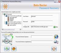 Pantallazo Internet Explorer Password Recovery