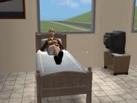 Pantallazo The Sims 2 Update